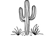 Desert Cactus SVG Bundle, an Object Graphic by Designer_Momina (Thumbnail 5 of 16)