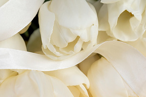 tulips on yellow paper and white ribbon , yellow paper and white tulip flowers, a Photo by rsoollAI