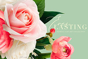 Everlasting Floral Clip Art, an Object Graphic by Eclectic Anthology (Thumbnail 12 of 14)
