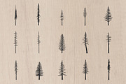 Hand-Drawn Tall Trees, an Illustration by Build Interactive (Thumbnail 2 of 7)