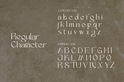 Lunavera - Luxury Serif Font, a Serif Font by Letterara (Thumbnail 10 of 14)