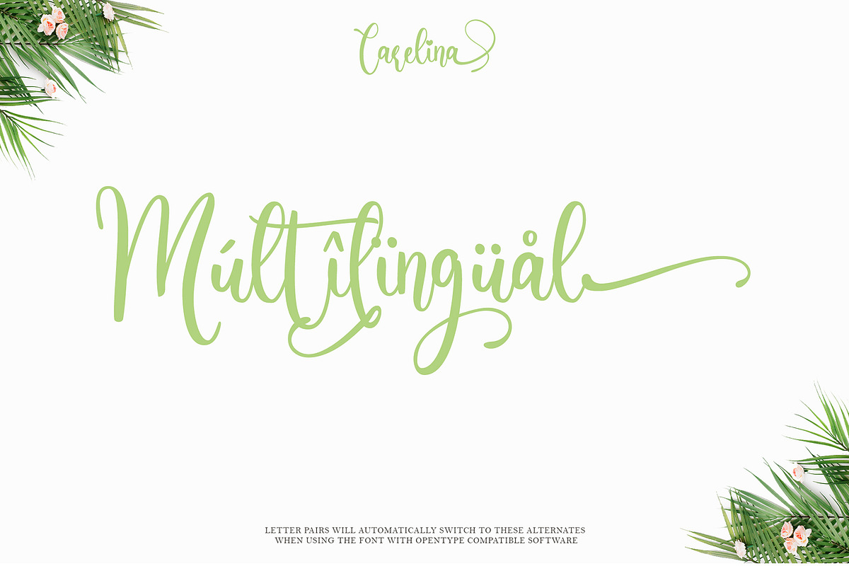 Carelina - Modern Calligraphy, a Script Font by erlosDESIGN (Photo 12 of 12)
