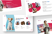 Pet Care and veternary Keynote, a Presentation Template by Annora Studio (Thumbnail 3 of 5)