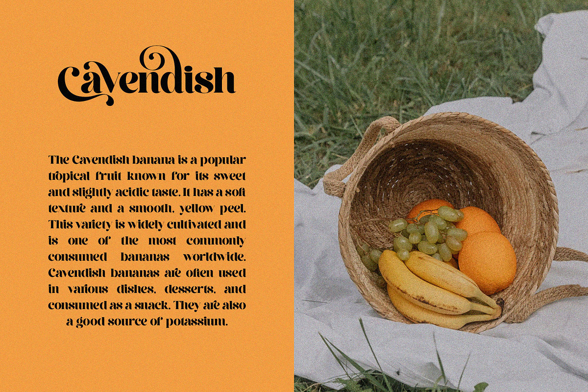 Rekalgera - Gorgeous Display Serif, a Serif Font by BrandSemut (Photo 7 of 10)