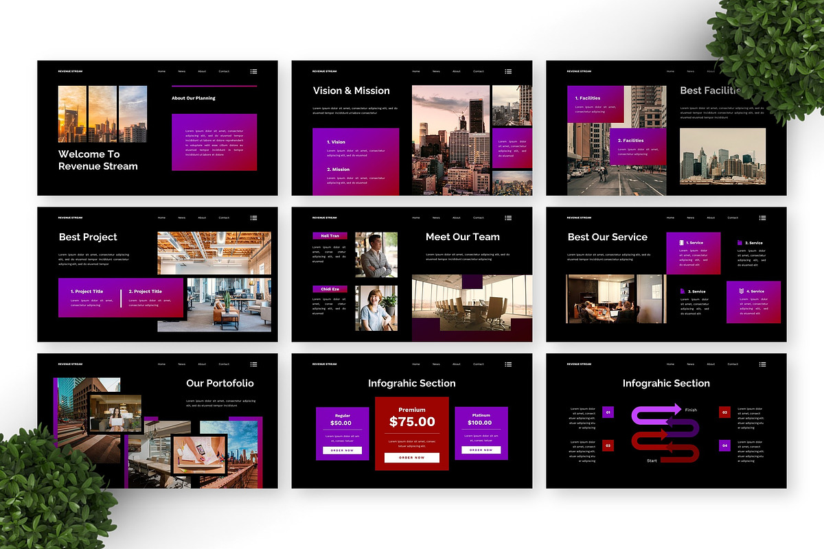 Revenue Stream - Business Keynote preview 6