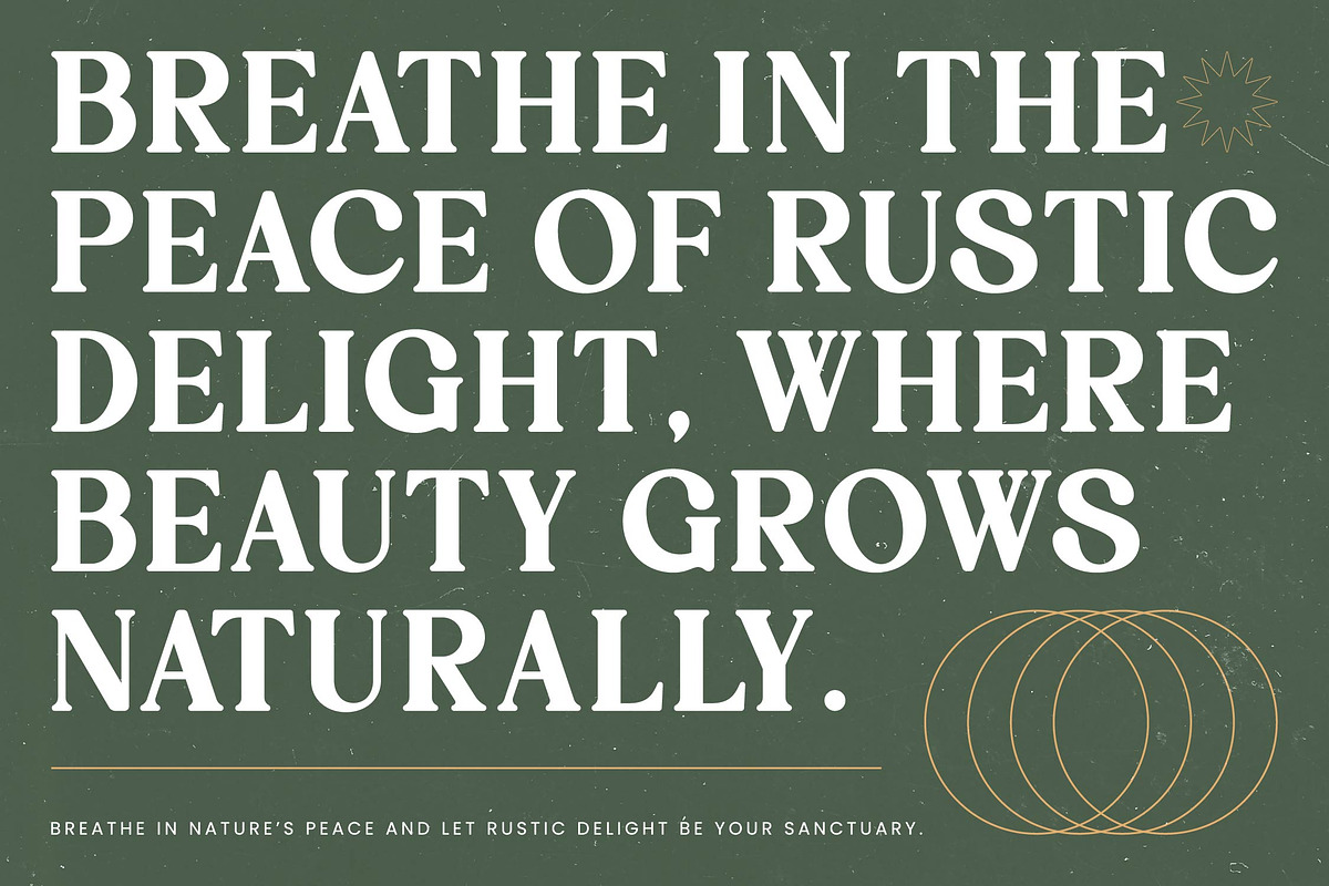 Rustic Delight - Bold Serif Font, a Serif Font by timelesstype.co (Photo 4 of 20)