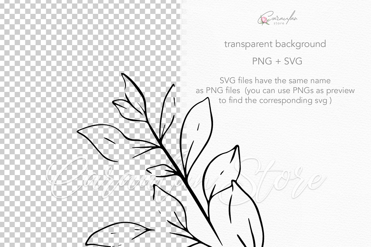 MINIMALIST FLORAL LINE ART SET, an Object Illustration by CaraulanStore (Photo 4 of 4)