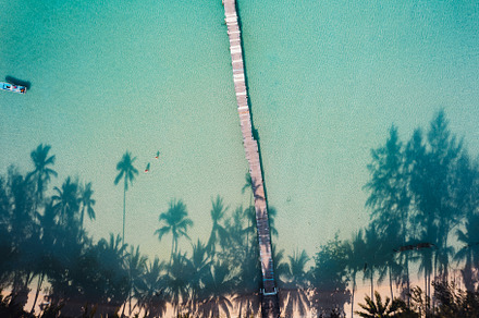 Beach with clear blue sea and palm tree shadows, a Nature Photo by Art Rachen