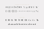 Stailen Modern Serif Font, a Serif Font by Idea Studio (Thumbnail 11 of 12)