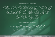 Astallya - Signature Font, a Script Font by RockboyStd (Thumbnail 11 of 12)