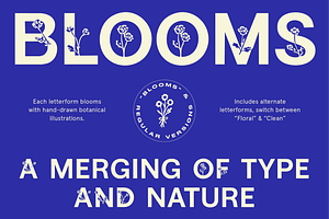 BN Blooms