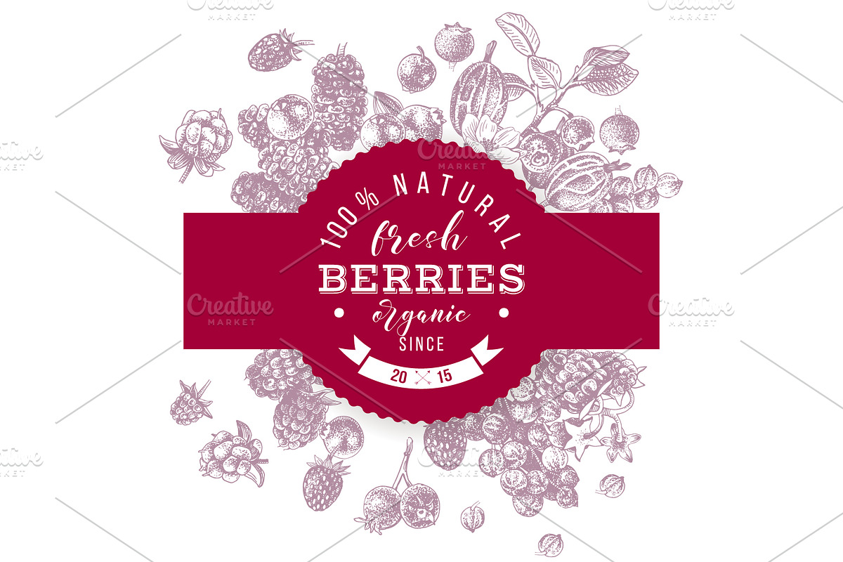 Fresh berries, a Food Illustration by handsketched (Photo 7 of 21)