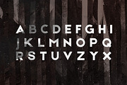 Etna Sans Serif Typeface, a Sans Serif Font by Wild Ones (Thumbnail 2 of 9)