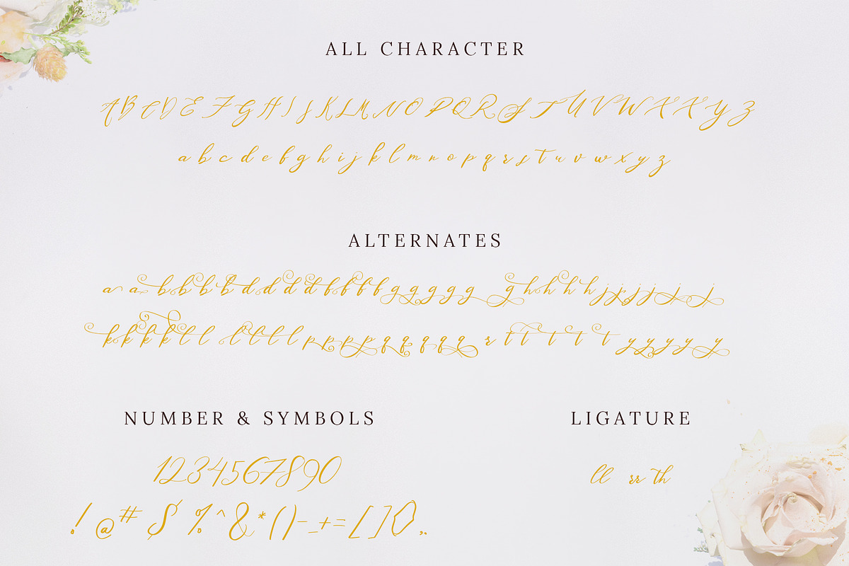 Washingtone Script preview 7