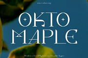 Okto Maple - Modern Serif, a Serif Font by Lemon Studio Type (Thumbnail 1 of 8)