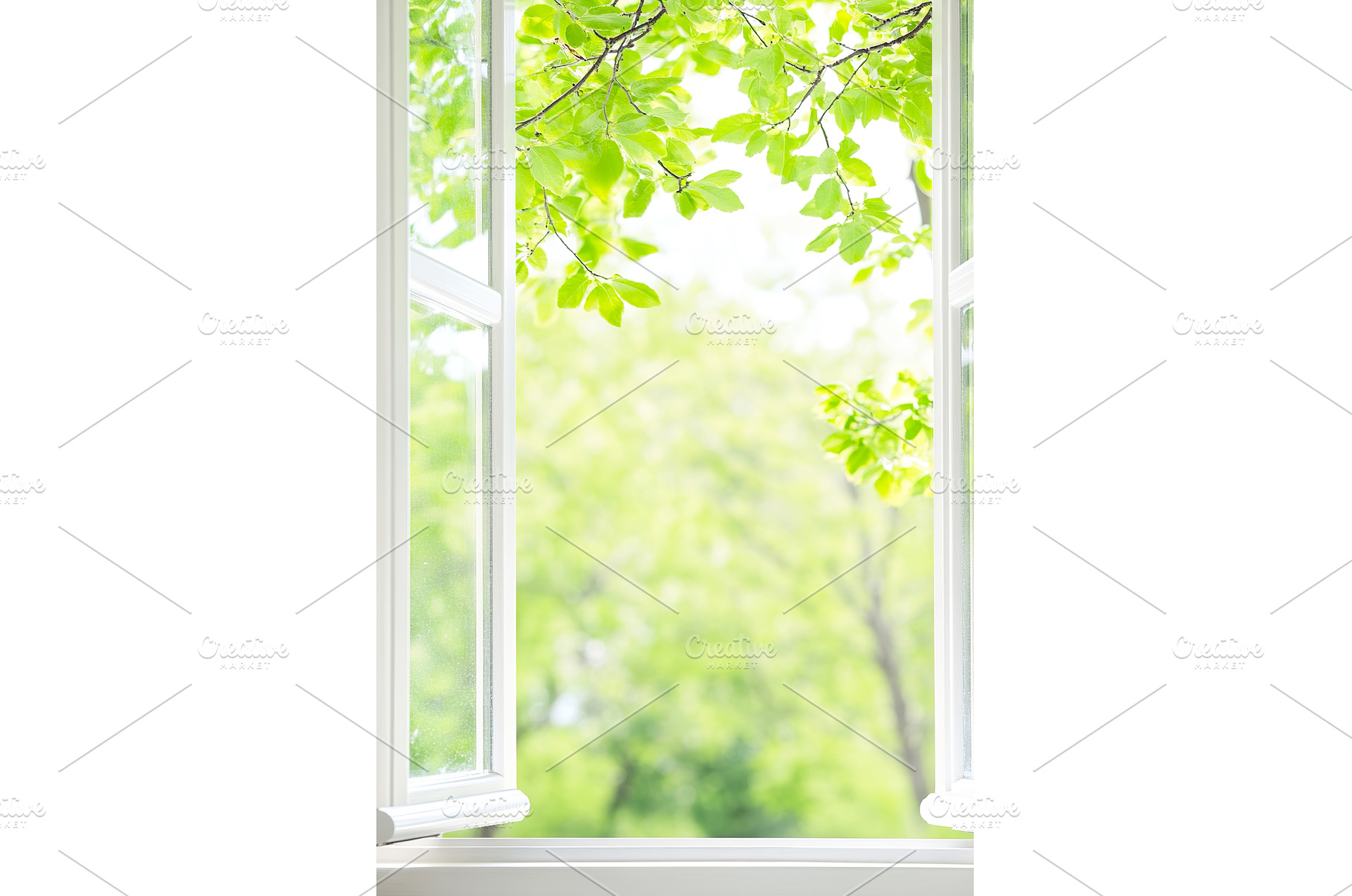 Open window with fresh greenery and, a Nature Photo by Lermont51