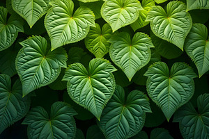 Realistic HD Leaves Background with, a Photo by LOGOCREATIVE