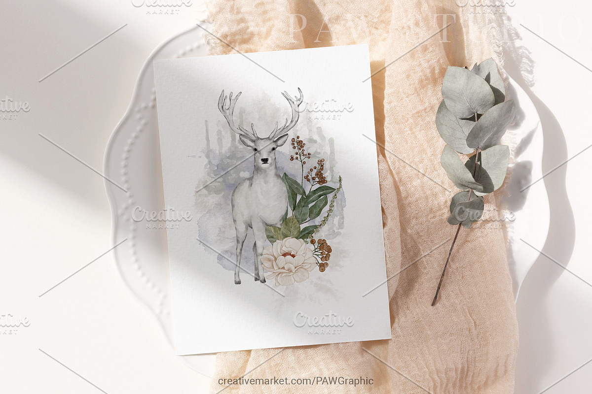Wild Animals Watercolor Clipart, an Animal Illustration by PawGraphic (Photo 8 of 12)