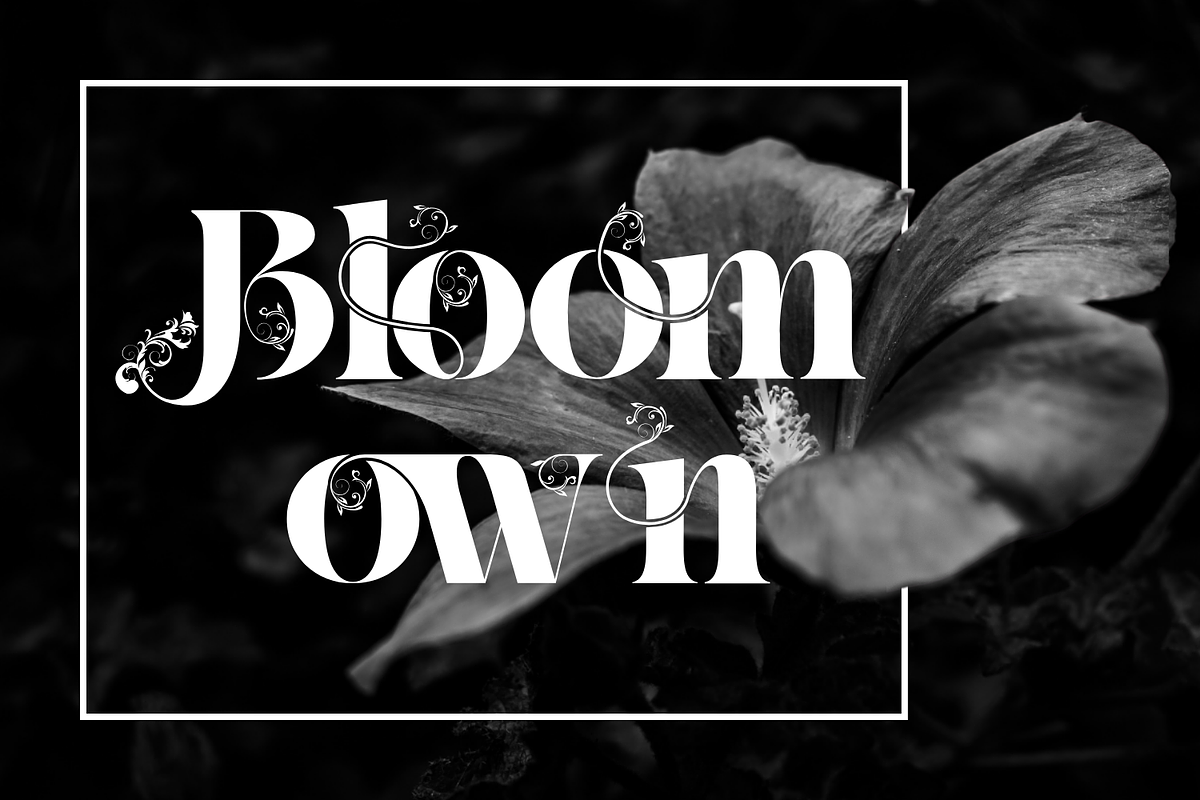 Classical Balance - Decorative Font, a Serif Font by 177Studio (Photo 3 of 8)