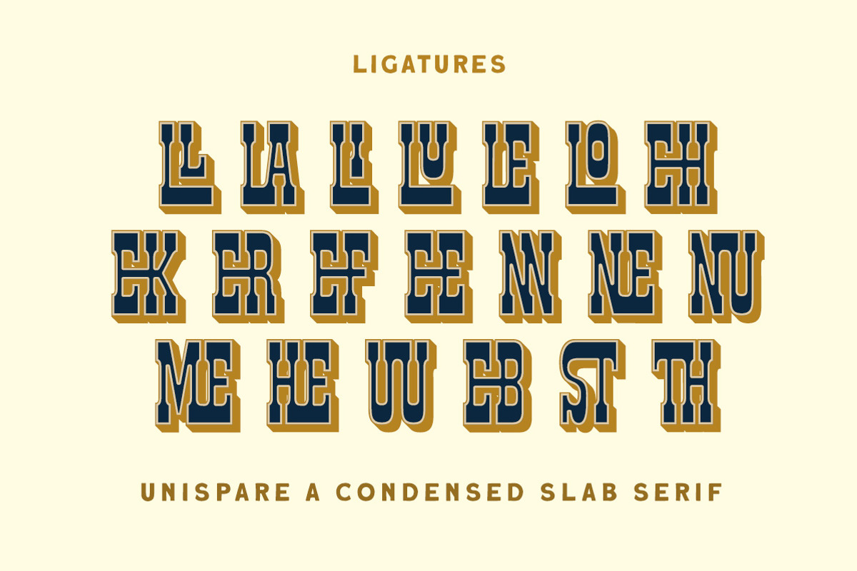 Unispare Condensed Slab Serif, a Slab Serif Font by Letterhend Studio (Photo 8 of 10)