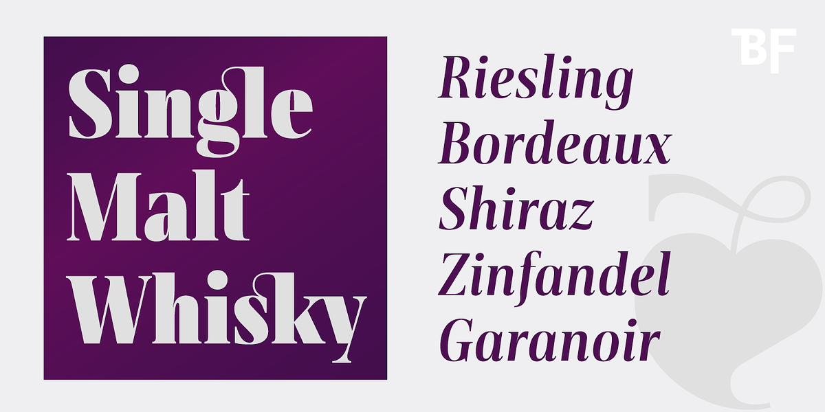 BF Rotwang Pro, a Serif Font by BrassFonts (Photo 6 of 15)