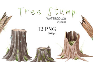 Tree Stump watercolor Clipart.