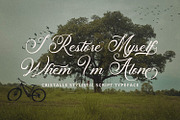 Cristalle - Script Font, a Script Font by Arendxstudio (Thumbnail 10 of 12)