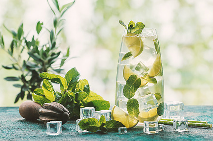 Mojito cocktail with lime and mint containing mojito, cocktail, and lime, a Food & Drink Photo by piter.goskov