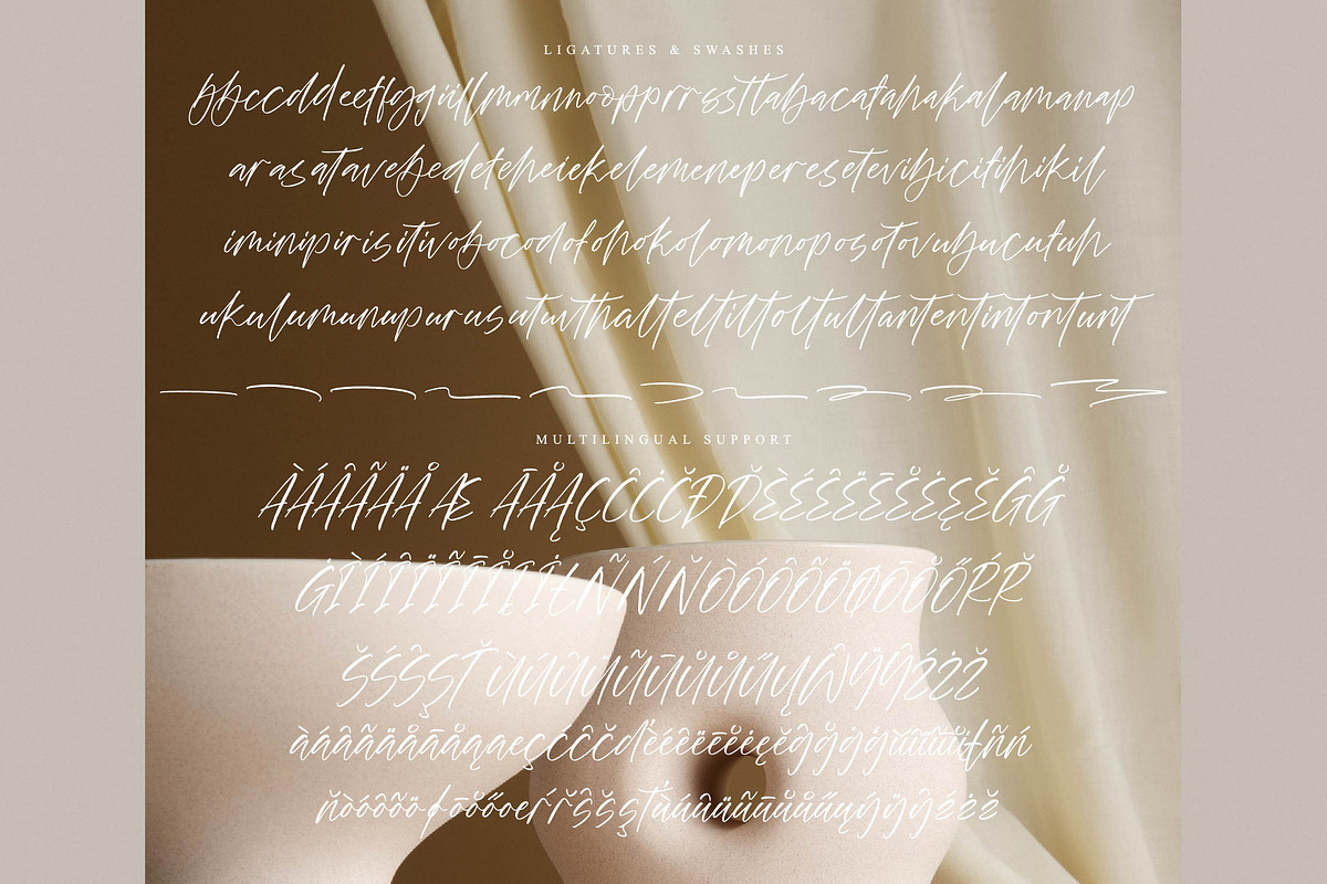 Twilight Horizon, a Script Font by operatype.co (Photo 13 of 15)