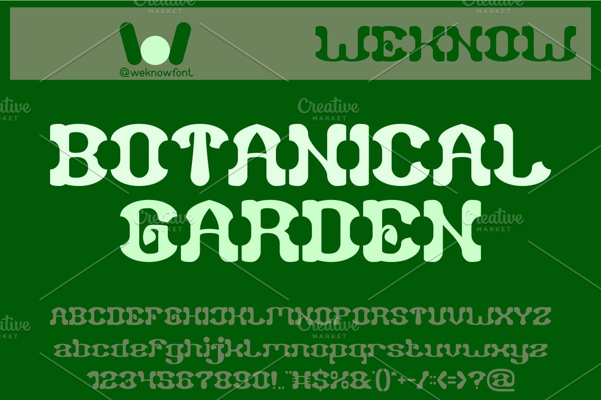 Falling Leaves font, a Font by weknow (Photo 3 of 8)