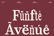 CS Delmar Mix, a Serif Font by Craft Supply Co. (Thumbnail 7 of 8)