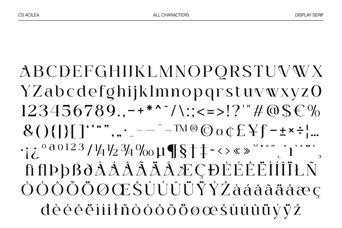 CS Acilea – Modern Serif Font, a Serif Font by Craft Supply Co. (Photo 8 of 8)