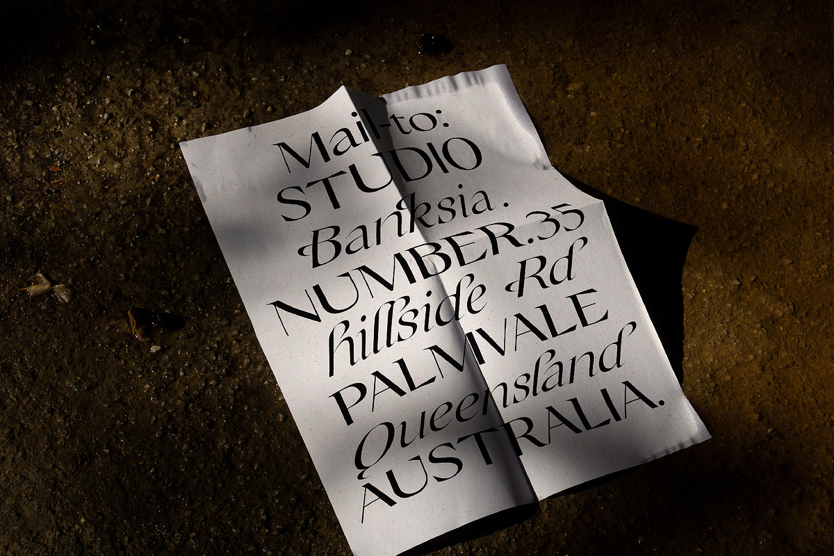 Champagne Cartel, a Serif Font by Tropical Type (Photo 2 of 18)