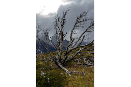 Road to the viewpoint Los Cuernos, a Nature Photo by LARISA BLINOVA