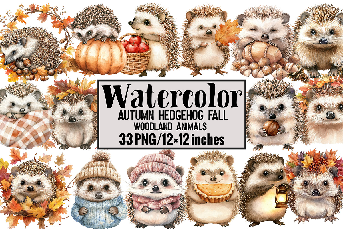 Autumn Hedgehog Fall Woodland Animal, an Illustration by Design Market (Photo 1 of 4)
