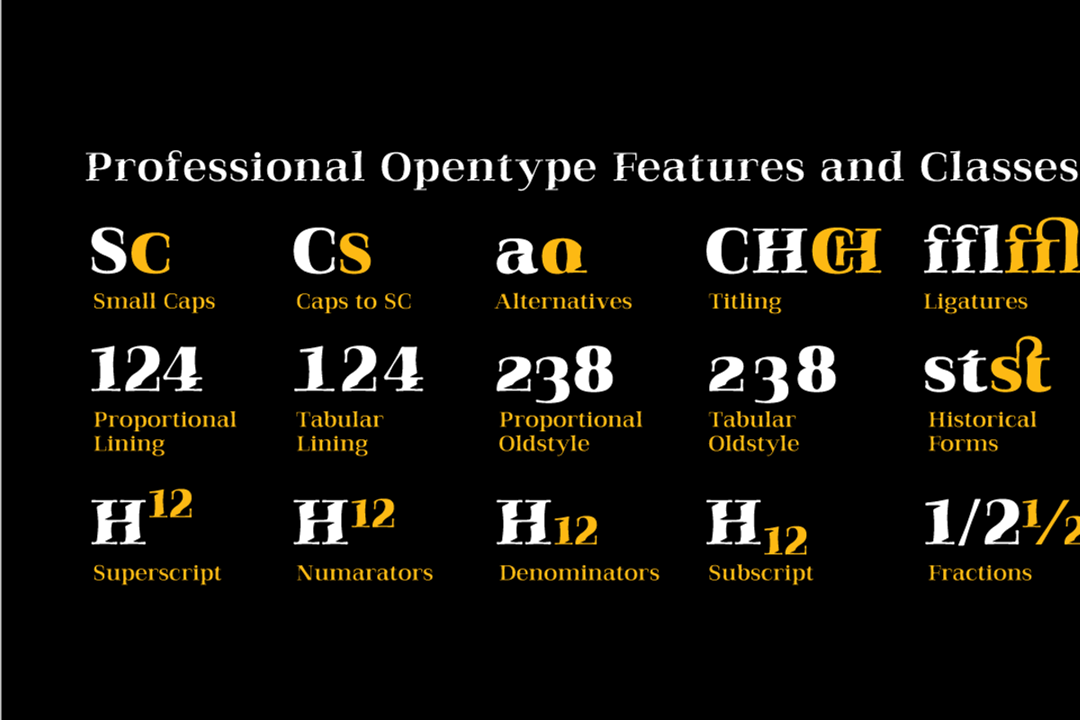 Qualitype Neo, a Serif Font by BULENT YUKSEL (Photo 13 of 28)