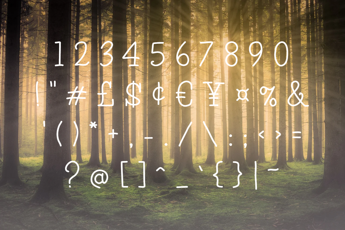 Pine Tall serif font, a Serif Font by TNE Designs (Photo 3 of 5)