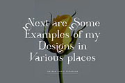 ARISEV Unique Serif Typeface, a Serif Font by yaqublekker (Thumbnail 2 of 10)