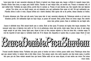 Bruce Double Pica PACK, a Font by Intellecta Design (Thumbnail 2 of 3)