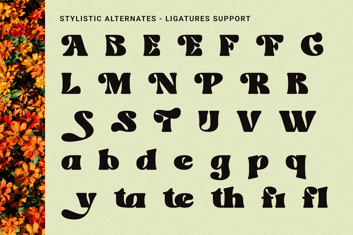 Velocity - Dynamic Retro Display, a Serif Font by Windfall Co (Photo 10 of 11)