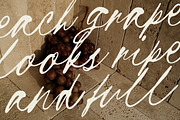 Brandoria – Handwritten Script Font, a Script Font by Unicode Studio (Thumbnail 7 of 10)