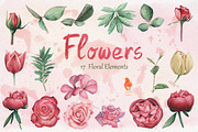 Flowers, Handpainted Watercolor, a Decorative Illustration by SquirrelStudio (Thumbnail 2 of 5)