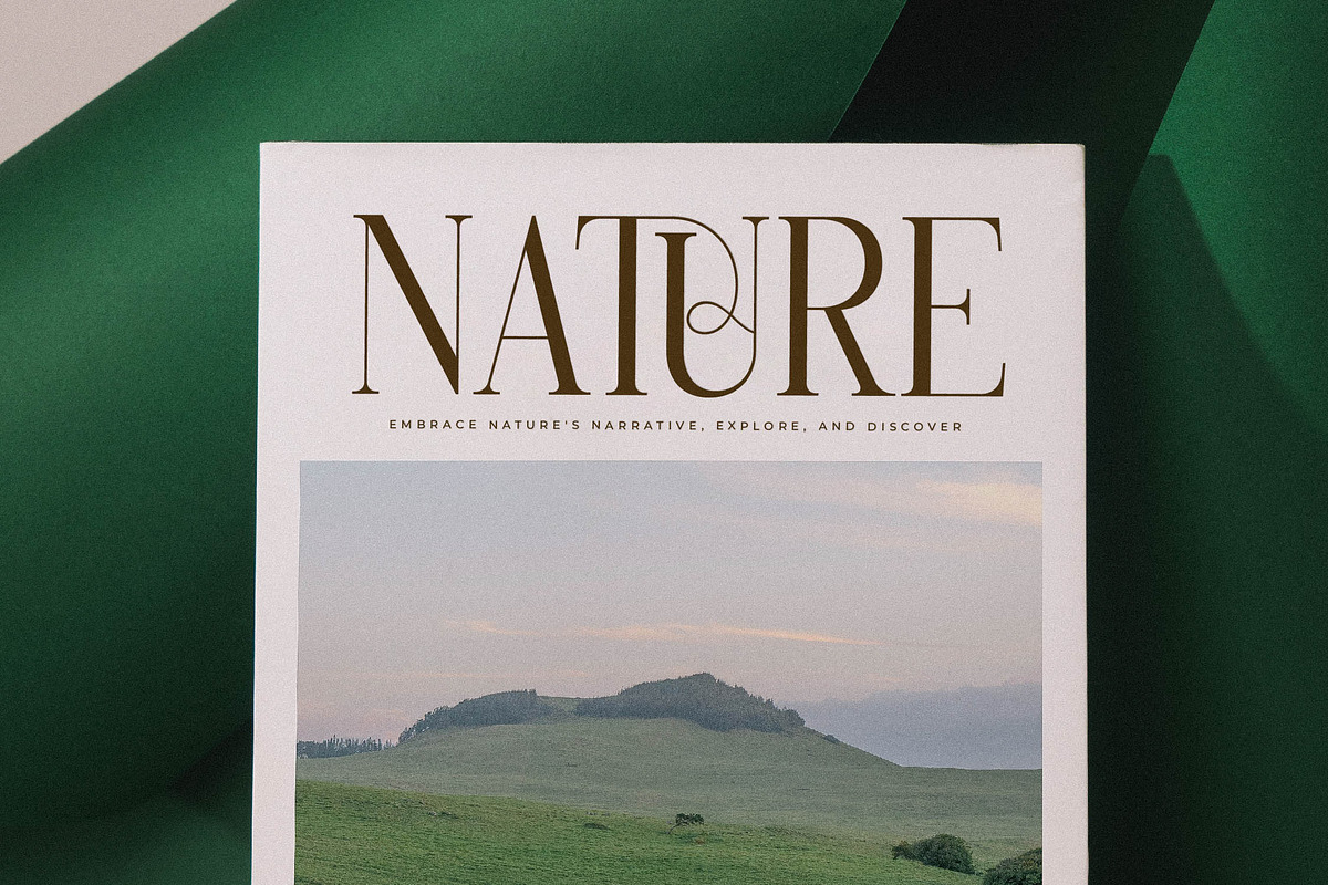 Charthe Modern Font Serif, a Serif Font by Storytype Studio (Photo 4 of 15)