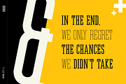 Jerome - Condensed Slab Serif, a Slab Serif Font by peterdraw (Thumbnail 10 of 17)