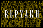 Repyakh Serif type family, a Serif Font by LevType (Thumbnail 2 of 14)