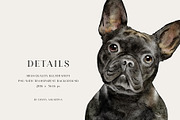 Dog breed clipart illustration set, an Animal Illustration by Diana Askarova Art (Thumbnail 7 of 8)