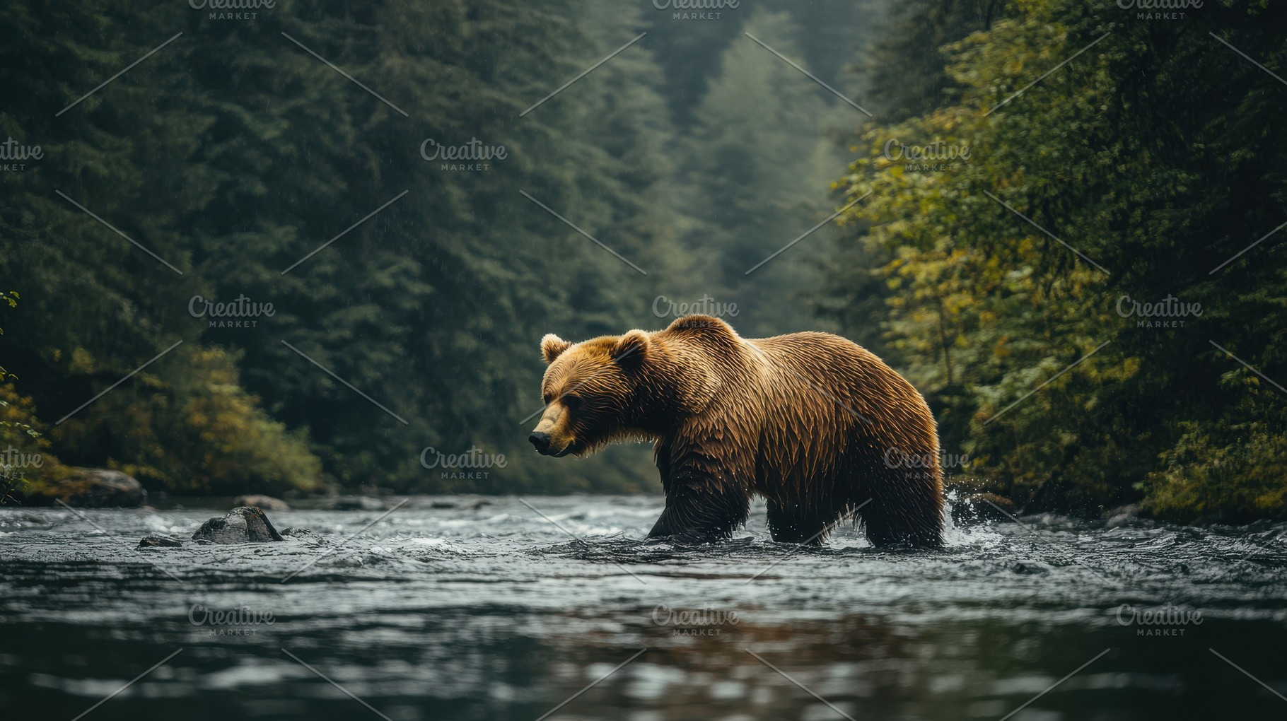 Majestic brown bear wading through a, an Animal Photo by Pixeness Studio
