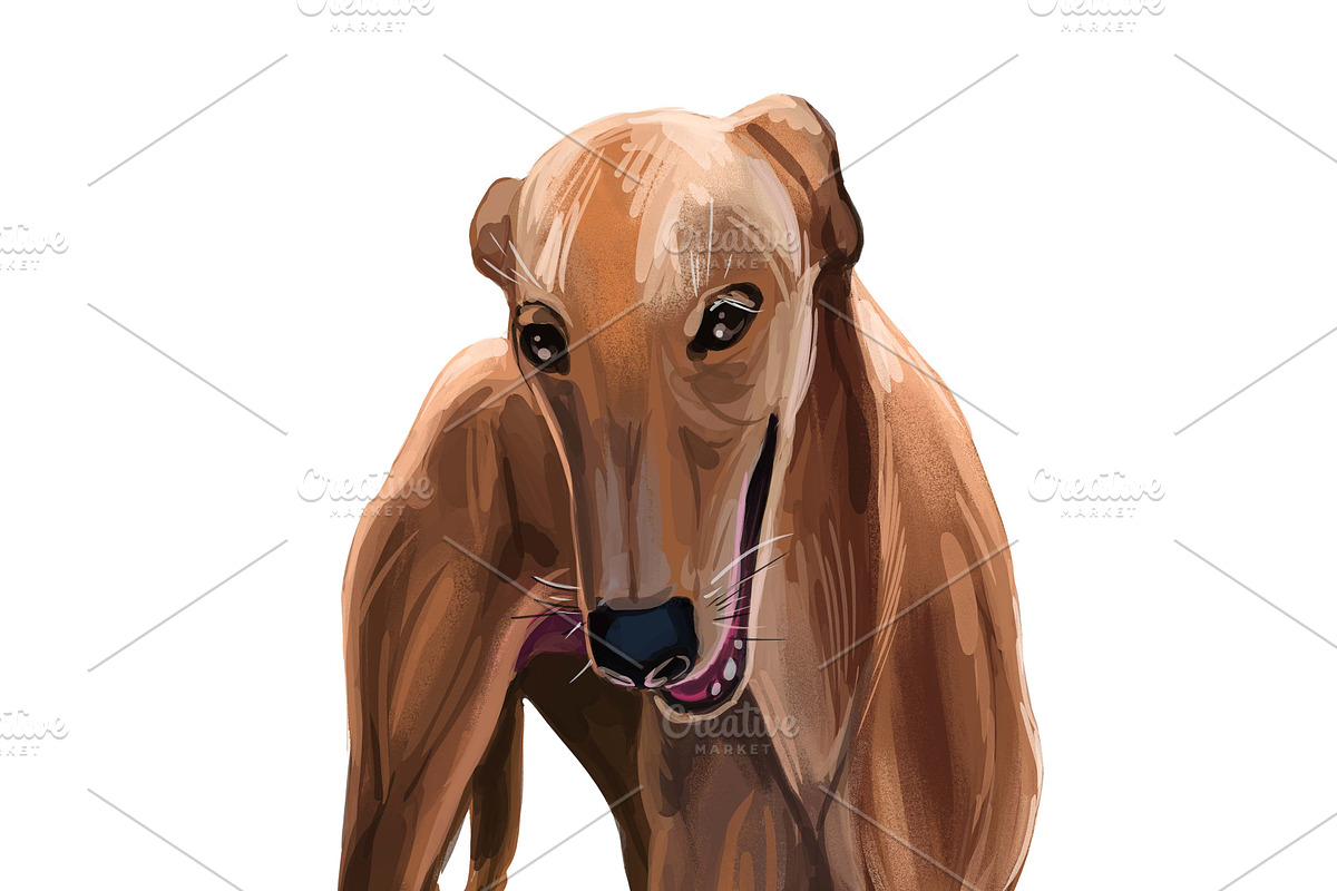 Dogs Cross Breeds 56 Animals Bundle, an Animal Illustration by Dneprstock (Photo 25 of 55)