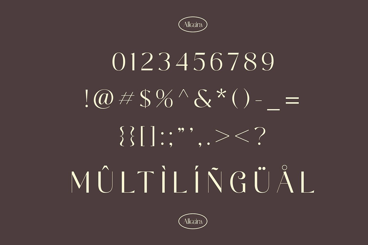 Natasha Elegant Serif, a Serif Font by Luna Shop (Photo 4 of 10)