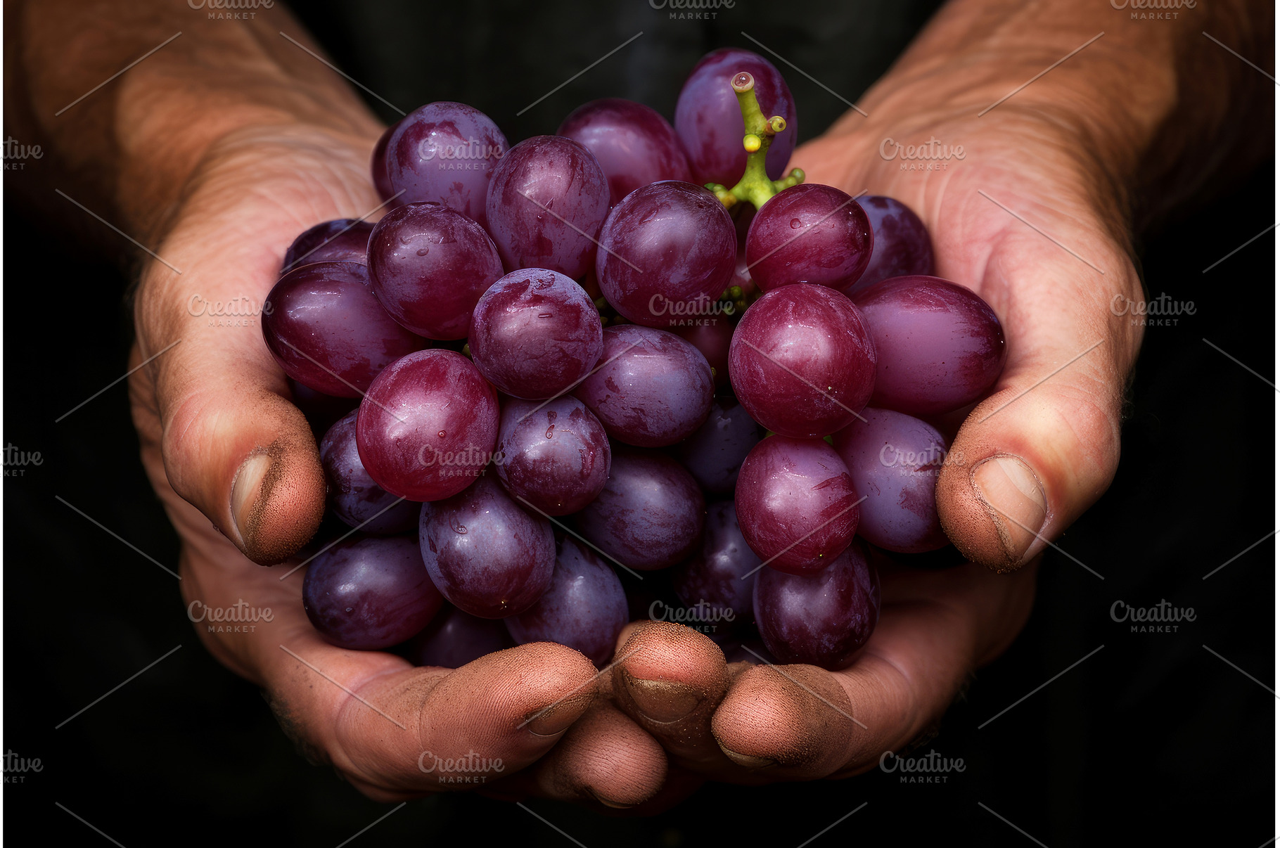 Tantalizing Male hand holding grape, a Person Photo by Ylivdesign